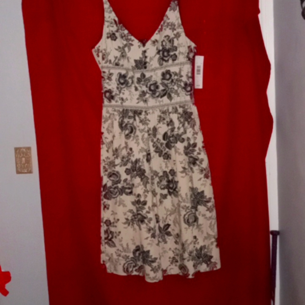 Robbie Bee dress, Brand new, size 14, tan and black.